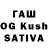 Псилоцибиновые грибы GOLDEN TEACHER John Layug