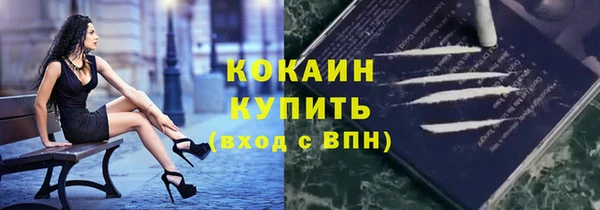 шишки Баксан