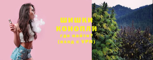 шишки Баксан