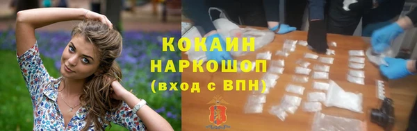 шишки Баксан